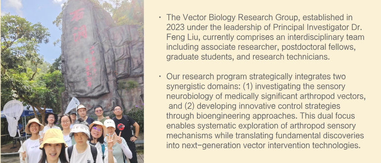 Vector Biology Lab
